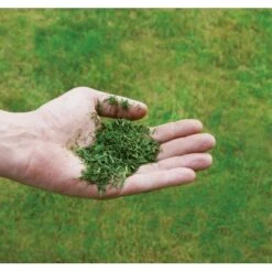 Einhell Benzin-Rasenmäher GC-PM 51/3 S HW-E 21 Einhell Benzin-Rasenmäher GC-PM 51/3 S HW-E -Gartengeräte Geschäft 171 340487 2171 8073710 08