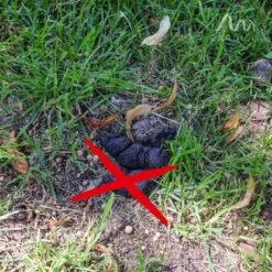 Gardigo Hunde-Katzen-Abwehr 25 Gardigo Hunde-Katzen-Abwehr -Gartengeräte Geschäft 302665 2272 15