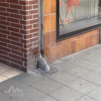 Gardigo Hunde-Katzen-Abwehr 17 Gardigo Hunde-Katzen-Abwehr – Bild 15