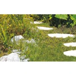 Einhell Akku-Gras- Und Strauchschere GC-CG 3,6 Li -Gartengeräte Geschäft 508839 2171 7