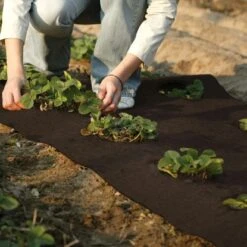 Winterschutz Kokosmatte Dunkelbraun 50 Cm X 150 Cm 7 Winterschutz Kokosmatte Dunkelbraun 50 Cm X 150 Cm -Gartengeräte Geschäft 711298 2332 3