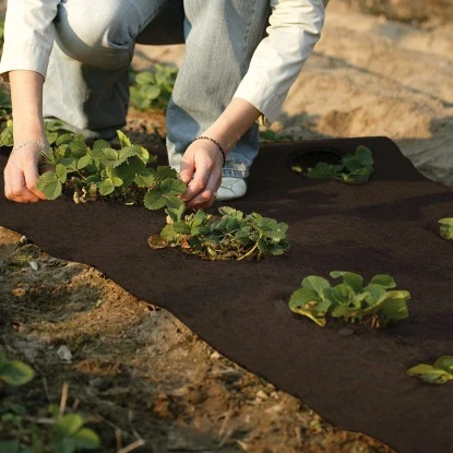 Winterschutz Kokosmatte Dunkelbraun 50 Cm X 150 Cm 5 Winterschutz Kokosmatte Dunkelbraun 50 Cm X 150 Cm – Bild 3