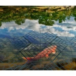 Gardigo Vogelschutzteichgitter 20er -Gartengeräte Geschäft 795986 2272 3