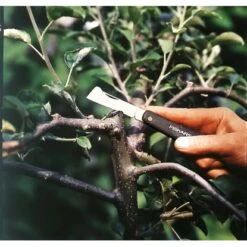 Fiskars Okuliermesser K60 Rostfreier-Stahl 7 Fiskars Okuliermesser K60 Rostfreier-Stahl -Gartengeräte Geschäft 8008220020497 4905 2