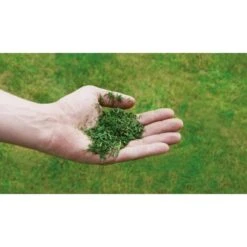 Einhell Benzin-Rasenmäher GC-PM 56/2 S HW 19 Einhell Benzin-Rasenmäher GC-PM 56/2 S HW -Gartengeräte Geschäft 978003 2171 08