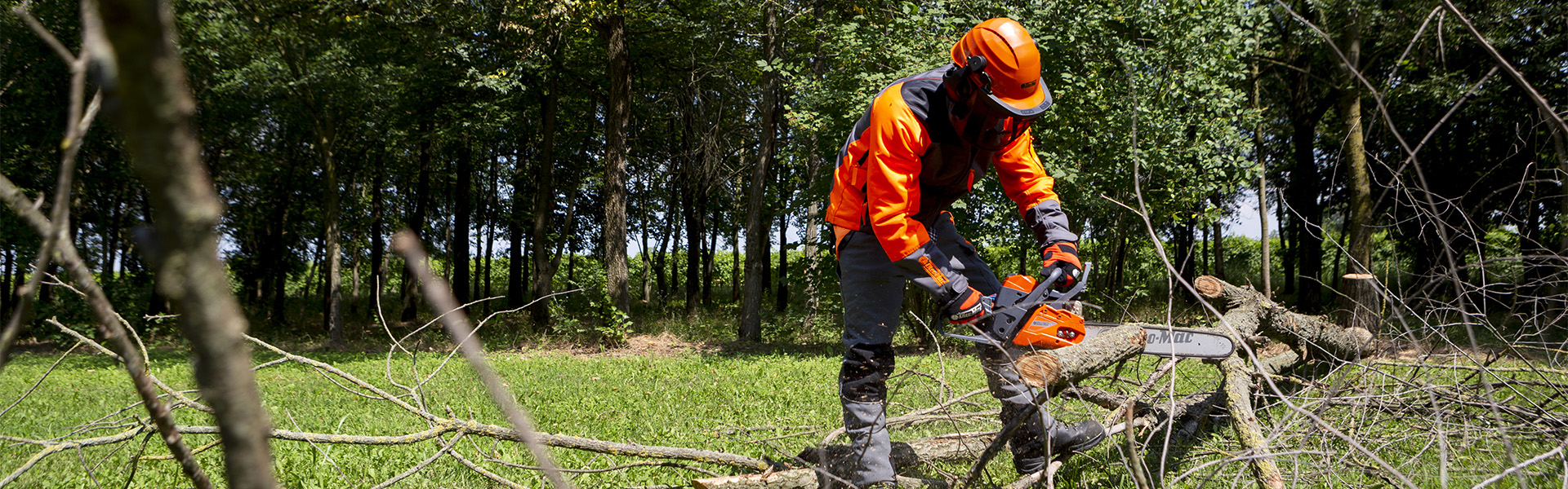 Gartengeräte Geschäft -Gartengeräte Geschäft 1